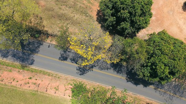 无人机俯瞰乡村场景图片下载