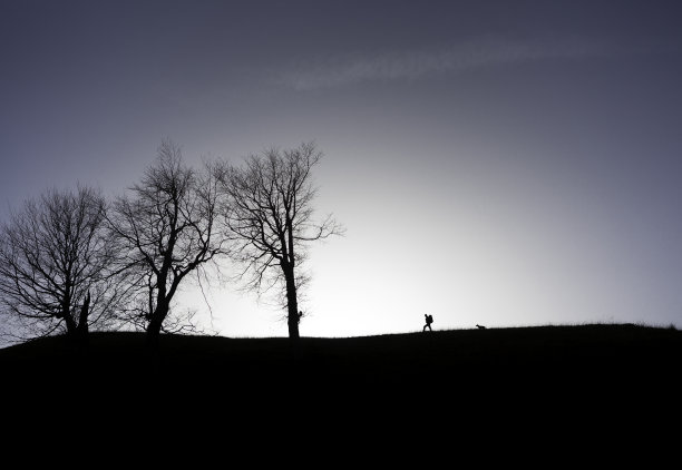 男孩背着背着他的狗或在树林里旅行的背包。田园旅游概念。一个背着背包的小男孩和他的小狗在山上的剪影图片下载
