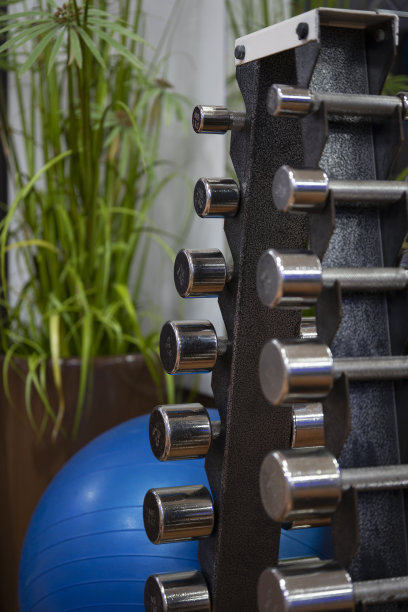 健身房架子上一排排的金属哑铃。重量训练设备。图片下载