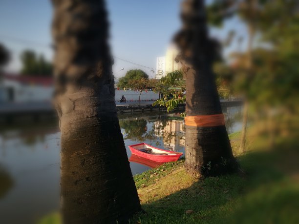 我的船来了图片下载