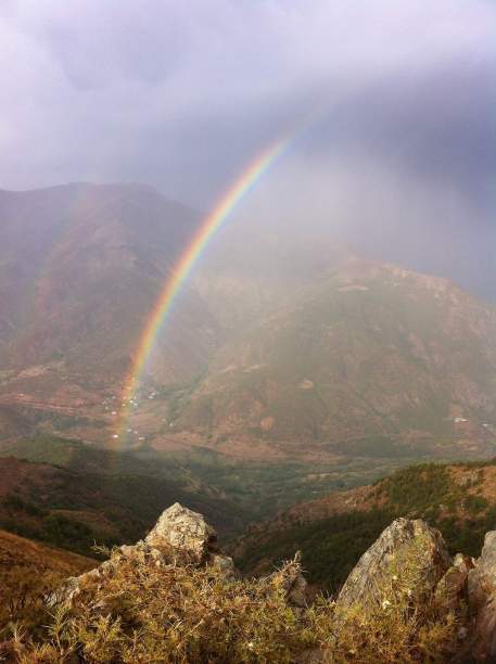 盲目的图片下载