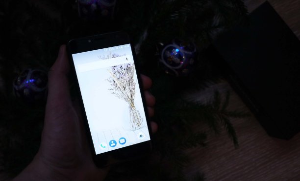 基于Android操作系统的移动智能手机图片下载