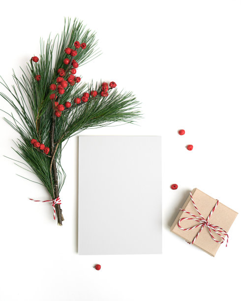 圣诞贺卡模板。空纸模型，礼盒，冷杉树枝装饰，红色的浆果，孤立在白色的背景。图片下载