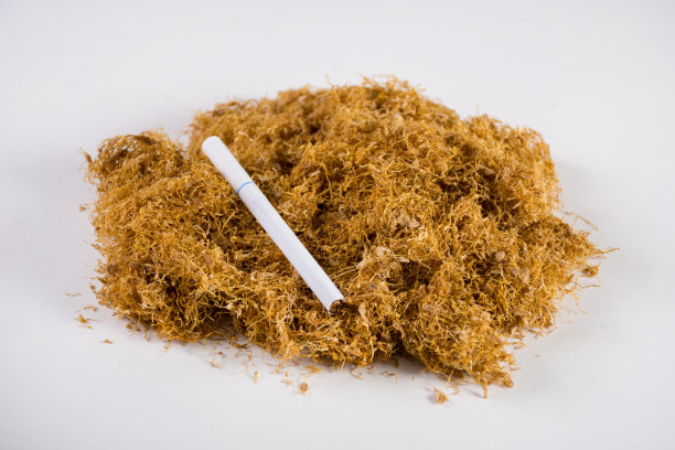 干烟丝和雪茄堆孤立在白色图片下载