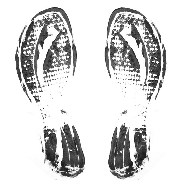 的足迹图片下载