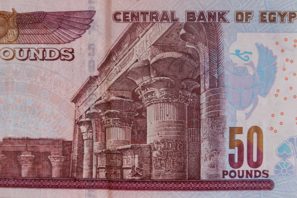 五十埃及镑纸币微距拍摄图片下载