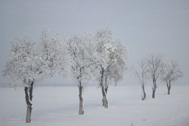 冬天雪风景画图片下载