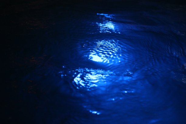 游泳池水里的浅色图片下载