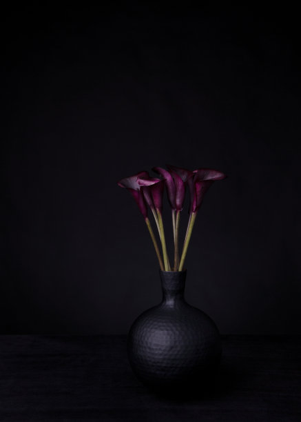 工作室黑色马蹄莲在花瓶图片下载