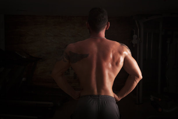 健美者的肌肉和肩膀图片下载