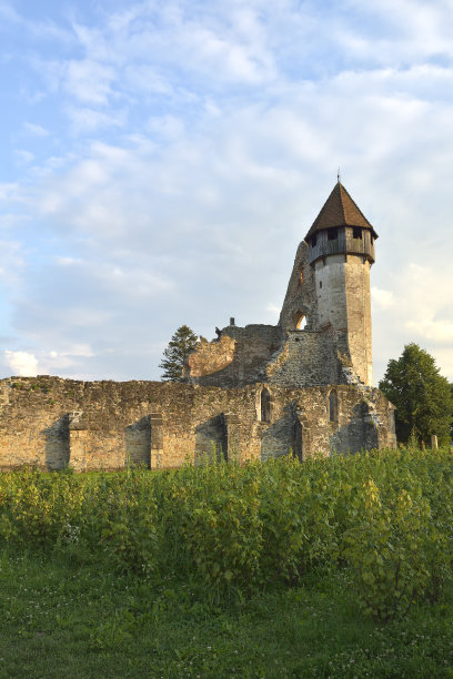 Cirta修道院是位于特兰西瓦尼亚南部的一个前西多会(本笃会)修道院。该修道院大概是在1202-1206年由修道院(Pontigny修道院的女儿之家)的僧侣们建立的。图片下载