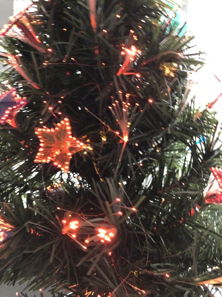 圣诞树图片下载