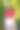 美丽快乐的女人走在路上图片下载