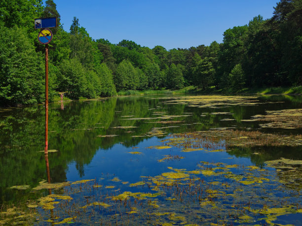 满是绿色和蓝色的天然湖泊地方图片下载