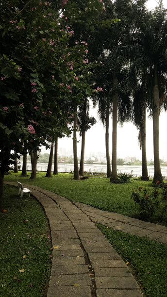 日落时分的公园图片下载