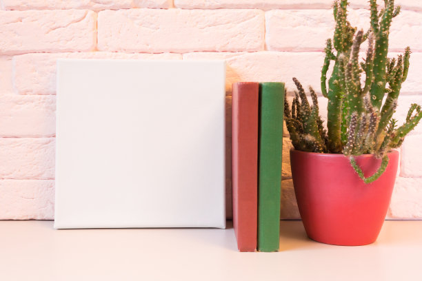 空白画布、书籍和室内植物。图片下载