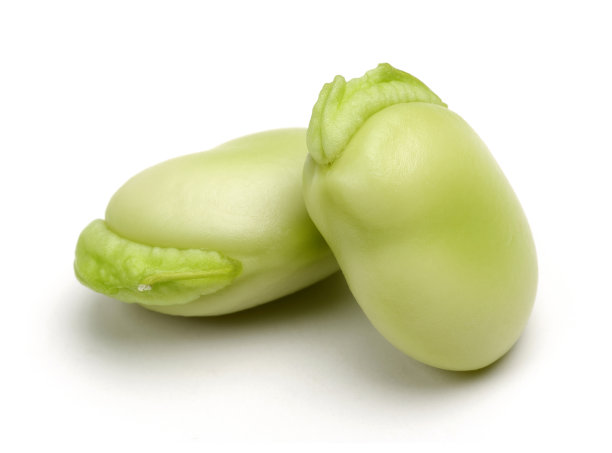 在白色背景上分离的新鲜蚕豆图片下载