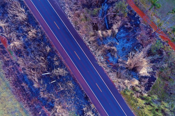 乡村道路鸟瞰图图片下载