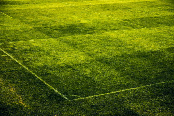 为联赛或锦标赛热身的足球训练场图片下载