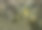 废弃的寺庙5图片下载