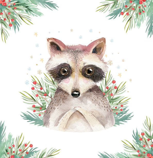 水彩可爱小浣熊卡通动物肖像设计，新年圣诞贺卡元素素材图片