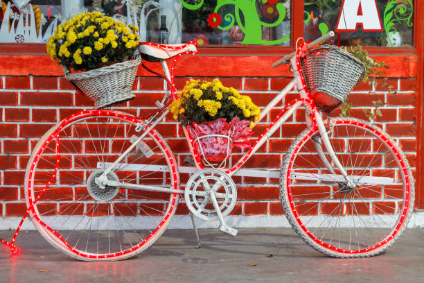 用圣诞彩灯和鲜花装饰的旧自行车图片下载