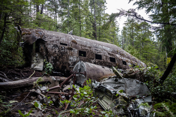 二战的飞机图片下载