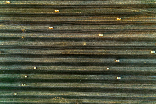 铺满稻草捆的大田野。晚上拍摄。图片下载