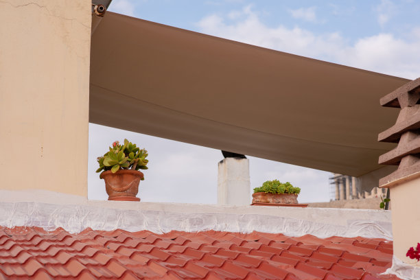 地中海家庭的仙人掌图片下载