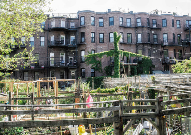 波士顿的城市图片下载