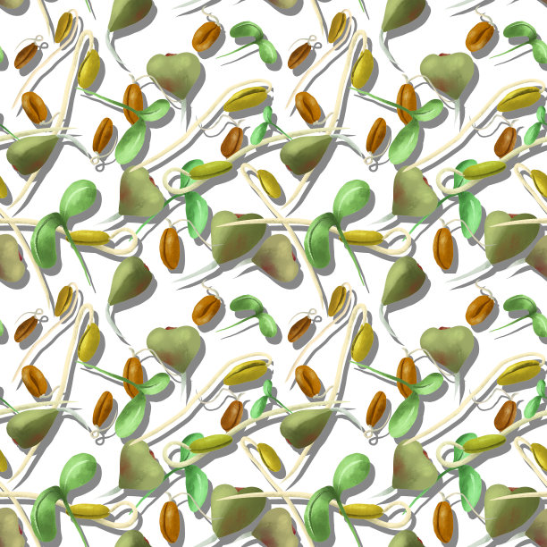 植物无缝模式的小荞麦大豆小麦芽，用于素食和健康的食谱。图片下载