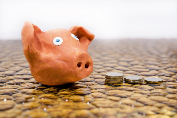 2019年的象征。用粘土做的猪。图片下载