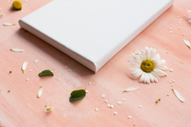 在粉色木板上模拟海报。前视图。图片下载