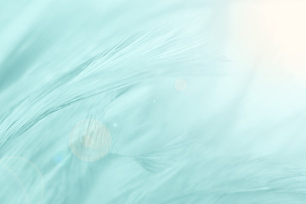 绿色复古色趋势羽毛纹理背景图片下载