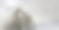 骑手和摩托车在潮湿的路面上的影子。图片下载