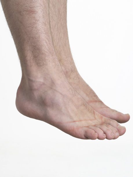 雄性有毛的腿孤立在白色图片下载