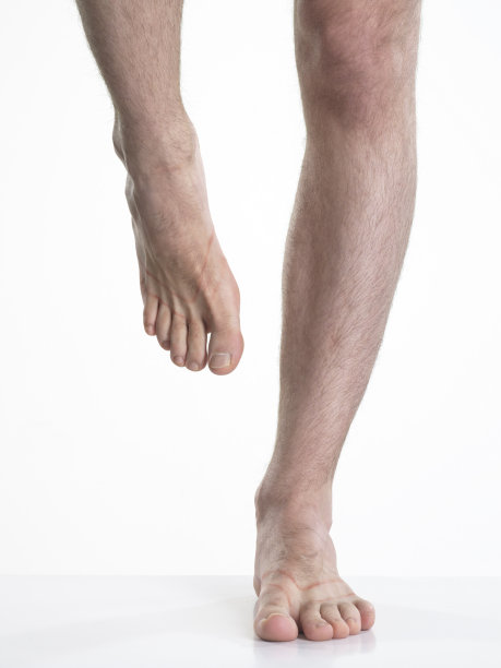 雄性有毛的腿孤立在白色图片下载