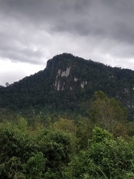 草地·克里夫图片下载