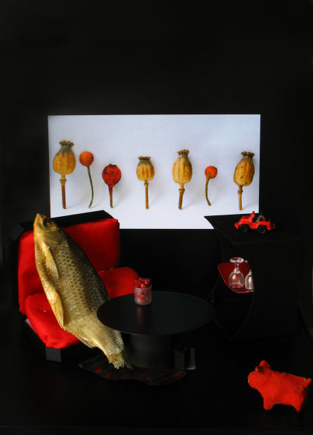 躺在沙发上的鱼图片下载