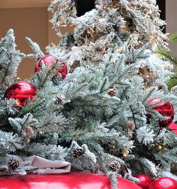 圣诞草木和装饰品-第2部分图片下载