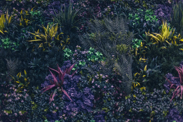 纹理墙饰以花和绿枝，装饰背景图片下载