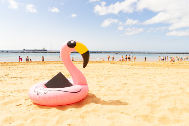 海滩上的粉红色火烈鸟图片下载