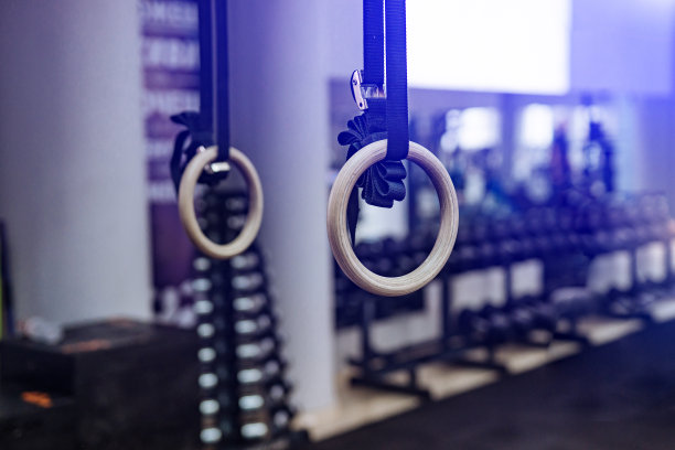 在一个健康的生活方式和健身概念的运动健身房一套环的细节。图片下载