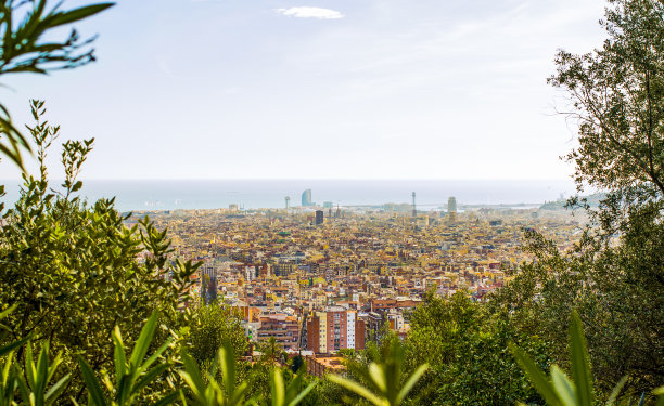 巴塞罗那全景从公园海鸥图片下载