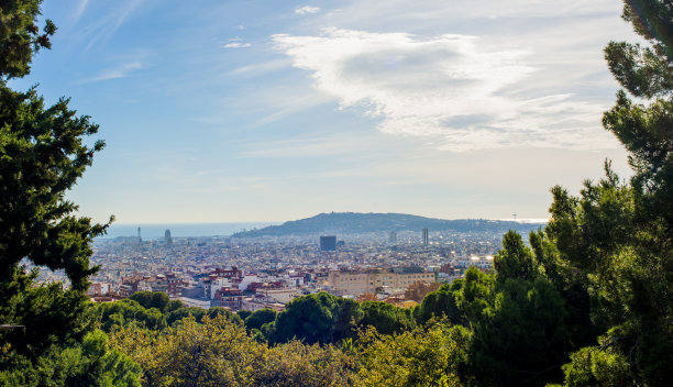 巴塞罗那全景从公园海鸥图片下载