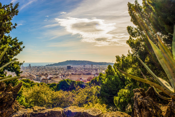 巴塞罗那全景从公园海鸥图片下载