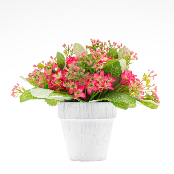 盆中孤立的人造花。图片下载