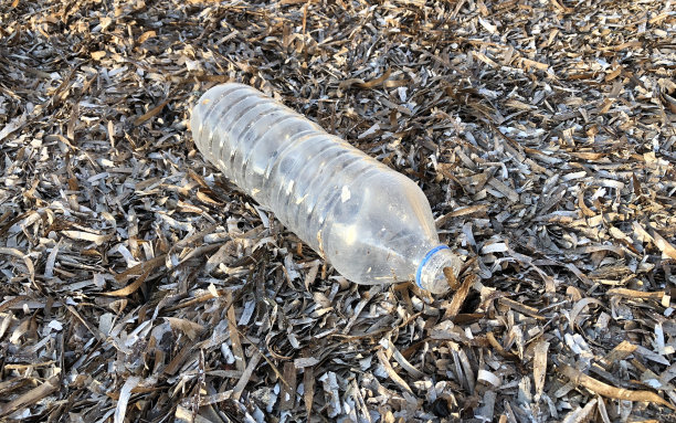 沙滩上的塑料瓶。图片下载