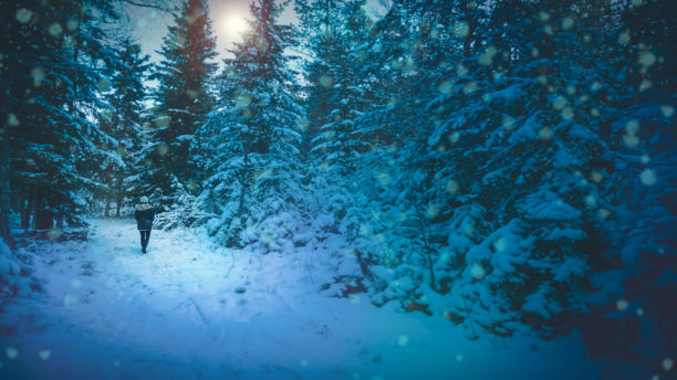 女人走在雪蓝的森林里图片下载