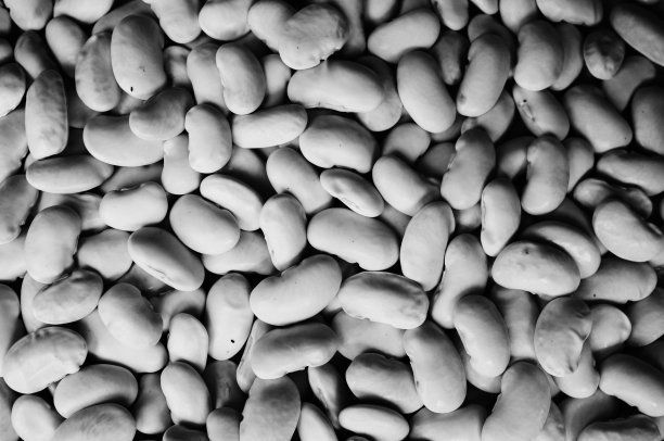 白芸豆背景纹理，纯素食照片，生态绿色食品图片下载